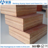 Waterproof 28mm Container Floorboard/Container Flooring Plywood