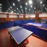 The Professional Manufacturer of PVC Table Tennis Indoor Sports Flooring