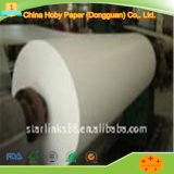 Double Side Coating Side and Virgin Pulp Style Plotter Paper Roll