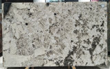 Splendor White Quartzite Polished Tiles&Slabs&Countertop