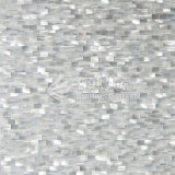Trochus Shell Mosaic Rectangle Tile
