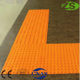 Tactile Ground Surface Indicator Wall Tile