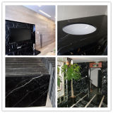 Polished Black and White Marble Floor Tiles (YQG-MT1011)