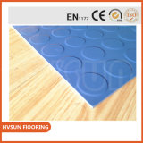 Fine Powder SBR Rubber Flooring for Colorful Gym Club, Fitness Center, Crossfit Court.