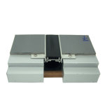 Flush No Blockout Floor Expansion Joint Cover
