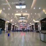 Professional PVC/Homogeneous Flooring for Airport/Subway/Office