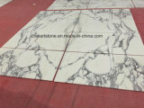 Italy Arabascata Bianco White Marble, Granite, Quartz Tile for Floor and Wall