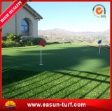 Synthetic Turf Landscaping Artificial Grass China