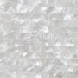 White Lip Mop Shell 10*20mm Mosaic Tile