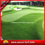 Curly Yarn Artificial Grass for Golf Putting Green