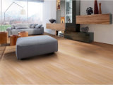 E1 Standard HDF Laminate/Laminated Flooring