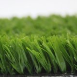 Artificial Grass, Synthetic Grass, Sports Grass, Outdoor Grass, Playground Flooring (PD/SF25G8)