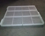 Broiler Cage Use The Floor