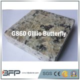 Giallo Butterfly Polished Granite in Building Material for Construction Floor