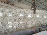 White Orion Granite Slab for Kitchen/Bathroom/Wall/Floor