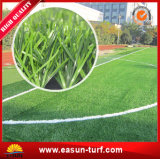 Chinese Cheap Football Artificial Carpet Grass for Carpet Decoration