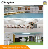 Customized Professional Eco Friendly Dance Hall Gym PVC Flooring for Sale