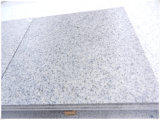 Manufacturer Price CS White Granite for Tiles/Slabs
