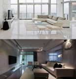 Light Grey White Marble Floor Tile / Wall Tile