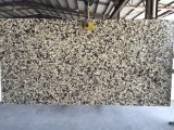 Lf-C Quartz Slabs&Tiles Quartz Flooring&Walling Countertop
