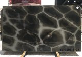 Turtle Illusion Quartzite Slabs&Tiles Quartzite Flooring&Walling