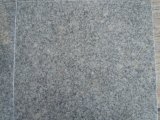 Customizable Color Difference Control Polished / Honed Grey Granite G603