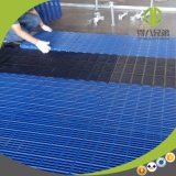 Plastic Slatted Flooring for Goat /Pig/ Sheep/ Dairy & Poultry