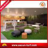 Waterless PE Fake Lawn Grass From China
