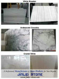 White Granite Marble/Onyx/Travertine/Limestone/Granite/Slate Tile and Slab