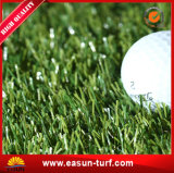 Indoor and Outdoor Putting Green Mini Golf Synthetic Grass