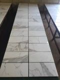 Calacatta White Natural Stone Marble Tiles for Wall and Flooring