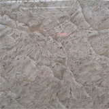 Natural Stone Oman Rose Marble in Cheap Price
