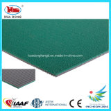 Gym/Stadium Flooring Surface Material, Rubber Flooring