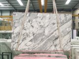Arabecato White Marble Polished Tiles&Slabs&Countertop