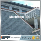 Natural Granite/ Slate Mushroom Tiles for Landscaping