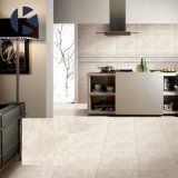 Hot Sale Glazed Porcelain Floor Tile with Matt Finished 600X600mm