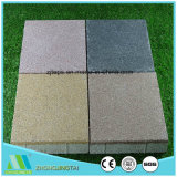Industrial Ceramic Brick/Tile with Strong Water Absorbing Capacity for Driveway