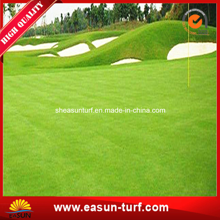 Artificial Golf Grass Putting Green