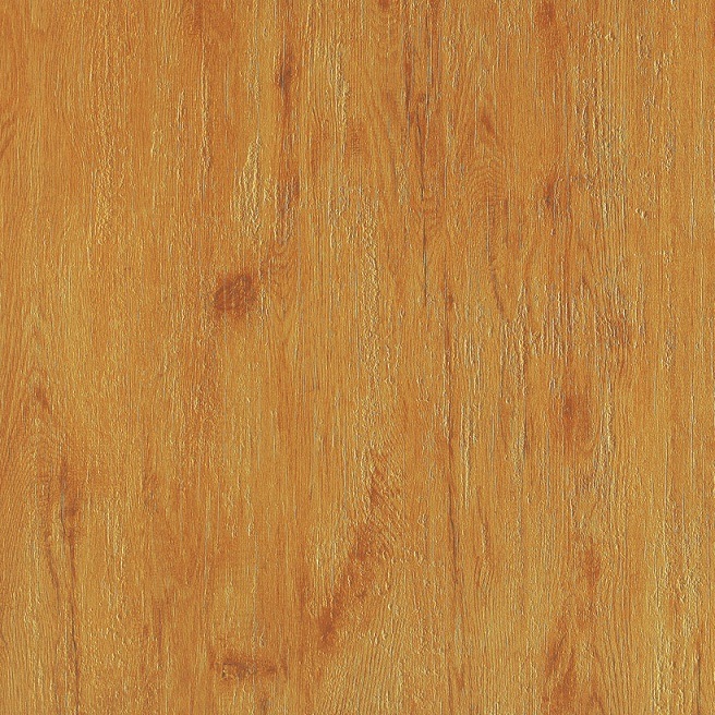 Rustic Floor Porcelain Wooden Tiles (60742)