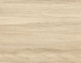 Italian Concept High Quality Wood Floor Wall Ceramics Tile (CAD1202)