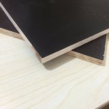 Poplar Core Black Film Faced Shuttering Waterproof Outdoor Wood (6X1250X2500mm)