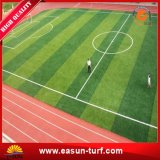 Artificial Grass Carpets for Football Stadium