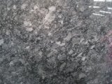 Steel Grey Granite Slabs&Tiles Granite Flooring&Walling