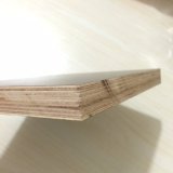 Poplar Core Black Film Faced Waterproof Wood for Construction (21X1250X2500mm)