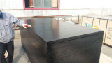 18X1250X2500mm Black Recycle Poplar Core Film Faced Plywood for Construction