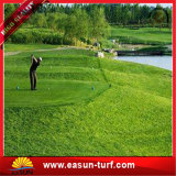 Sporting Synthetic Artificial Grass for Golf Green Garden Carpet