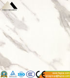 600X600mm Marble Stone Pattern Glazed Polished Floor Tile with Glossy Surface (6A109)