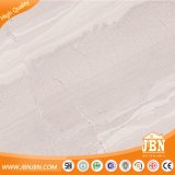 Foshan Factory Porcelain Glazed Rustic Floor Tile (JB6057D)