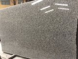 Grey Star / Granite Slab for Kitchen/Bathroom/Wall/Floor
