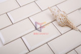 Glazed Beige Color Ceramic Mosaic Tile (CST119)